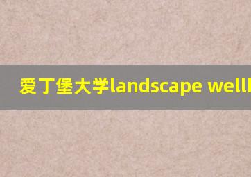 爱丁堡大学landscape wellbeing